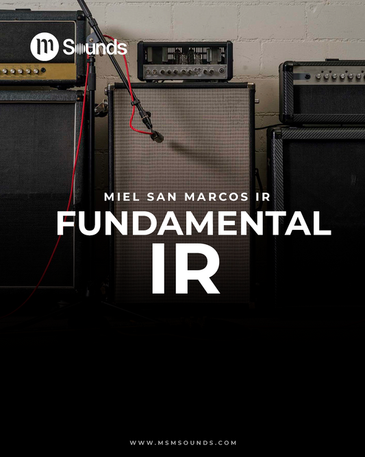 MSM FUNDAMENTAL IR